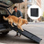 Large dog using a 71-inch foldable car ramp