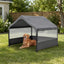 backyard lifestyle with dog — W1422P362931