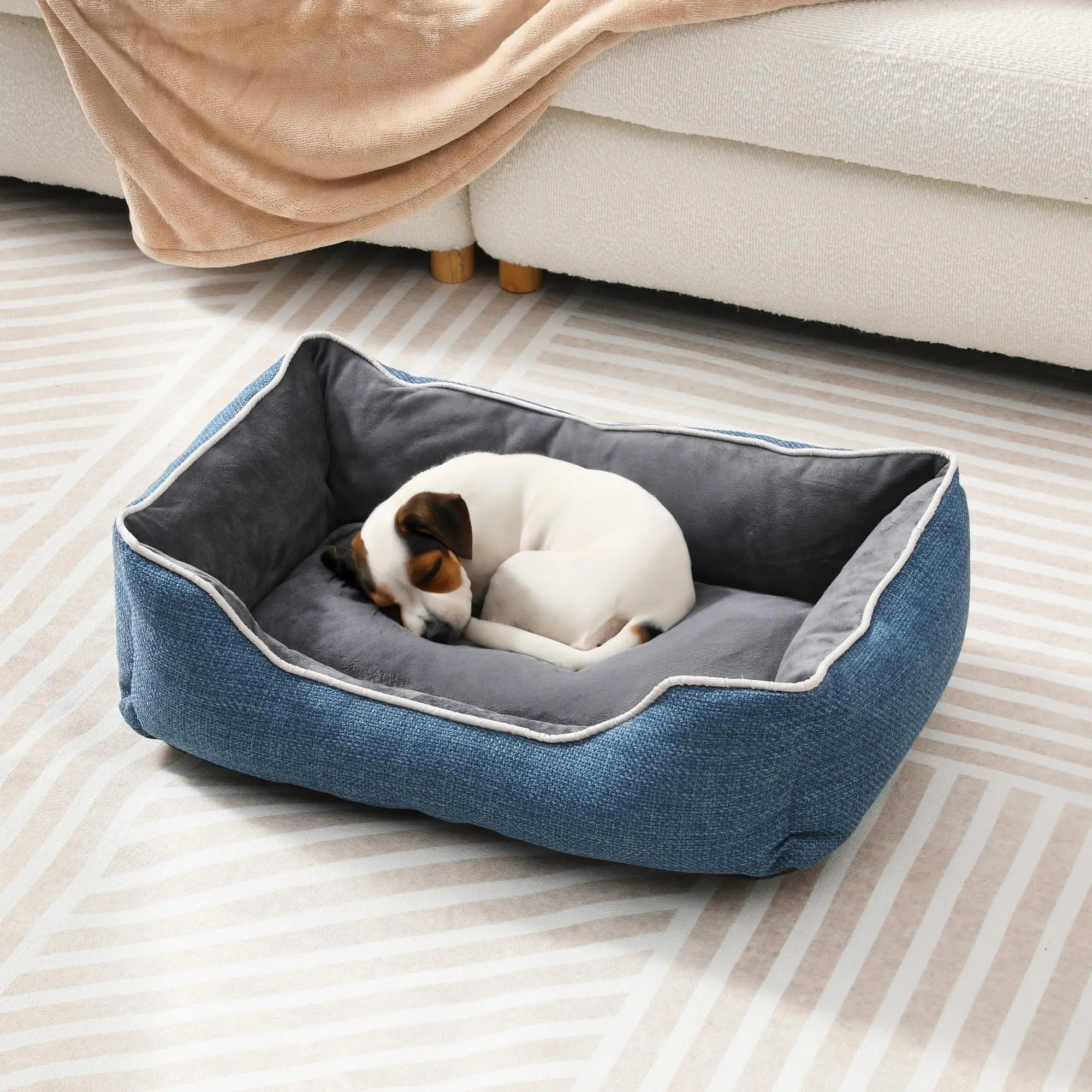 Blue bolster pet bed with a small dog in a bright living room