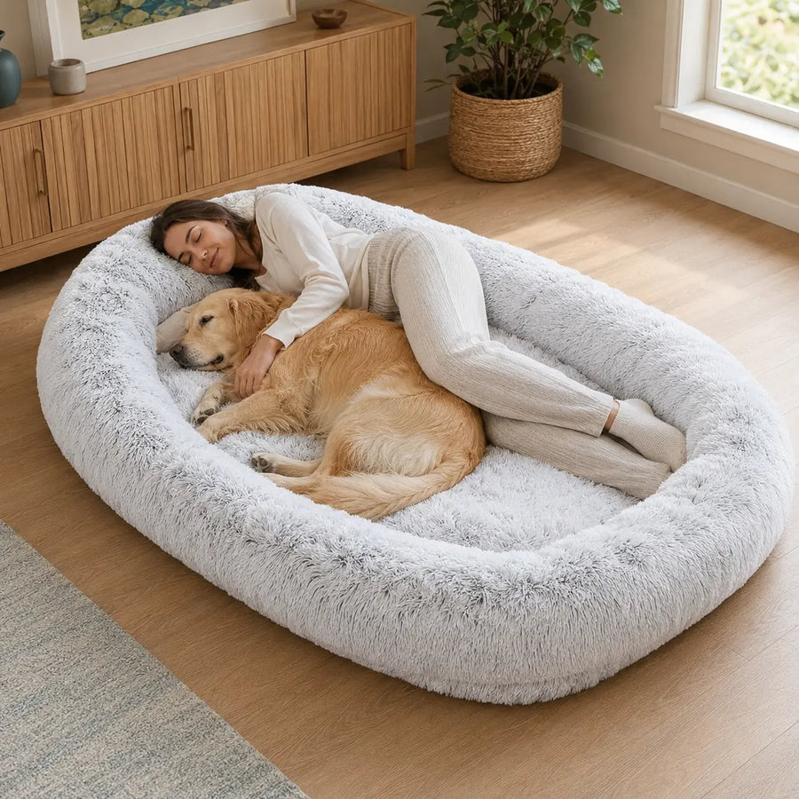 Woman and golden retriever relaxing in an oversized gray faux fur human dog bed