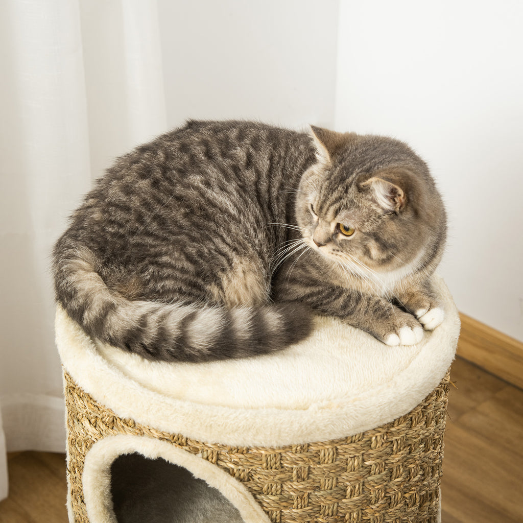 28-Inch Cat Condo with Sisal Scratcher, Khaki & Brown - W2225P229193 - product view 2