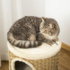 28-Inch Cat Condo with Sisal Scratcher, Khaki & Brown - W2225P229193 - product view 2