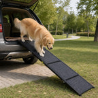 Large dog using black folding ramp with an SUV