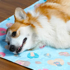 Close-up of a dog resting on a cooling mat