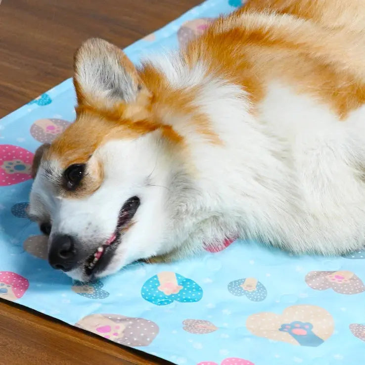 Close-up of a dog resting on a cooling mat
