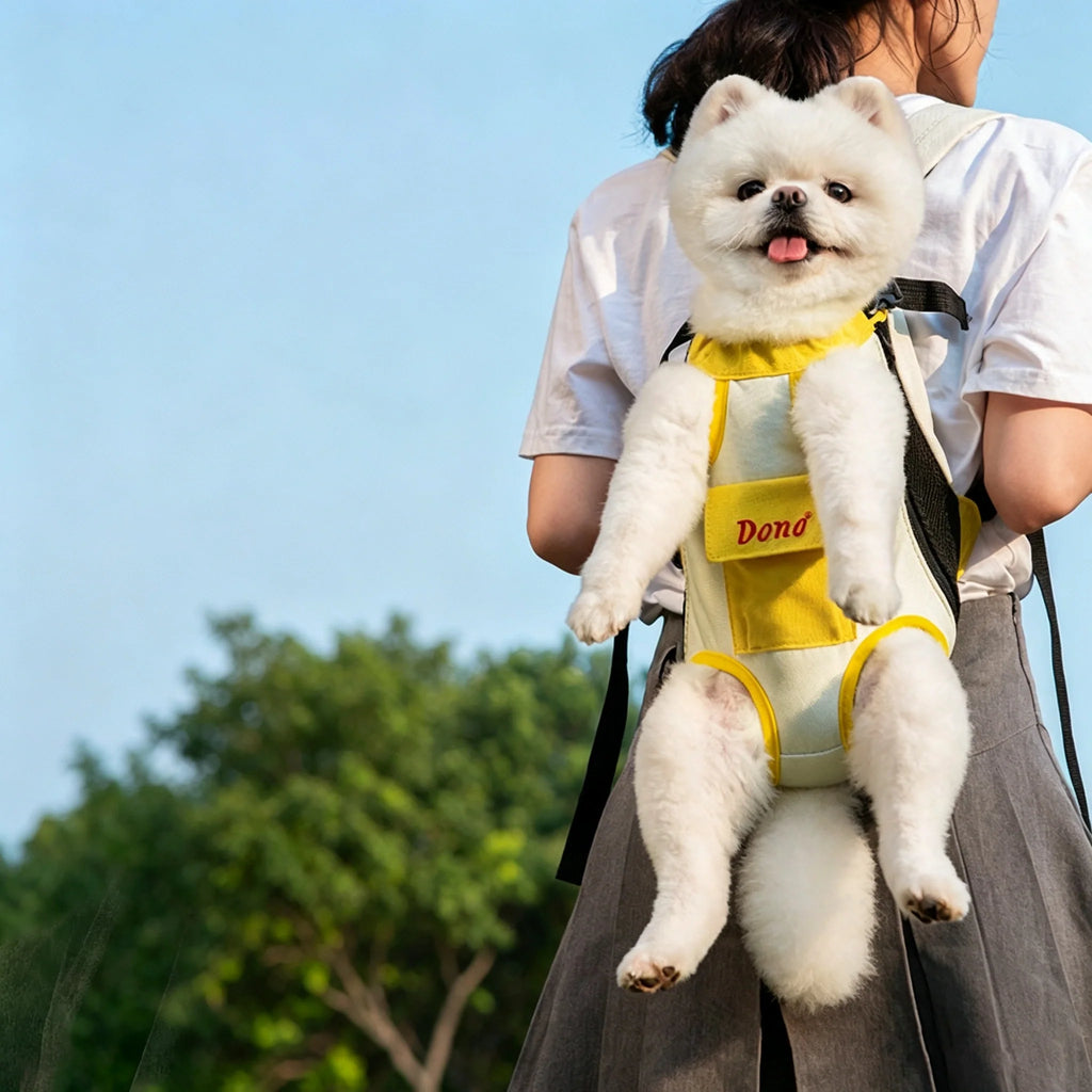 Pet Carrier Backpack for Cats & Small Dogs ¨C Breathable Mesh Hands-Free Carrier with Safety Buckle, Cute Bear Pocket, Escape-Proof Pet Backpack cwyp-001