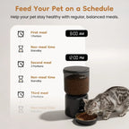App-controlled pet feeding schedule