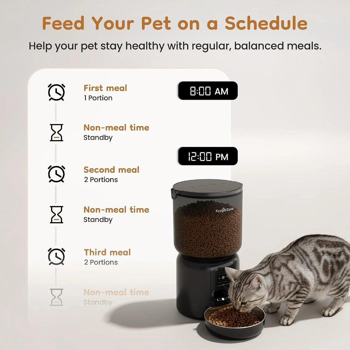 App-controlled pet feeding schedule