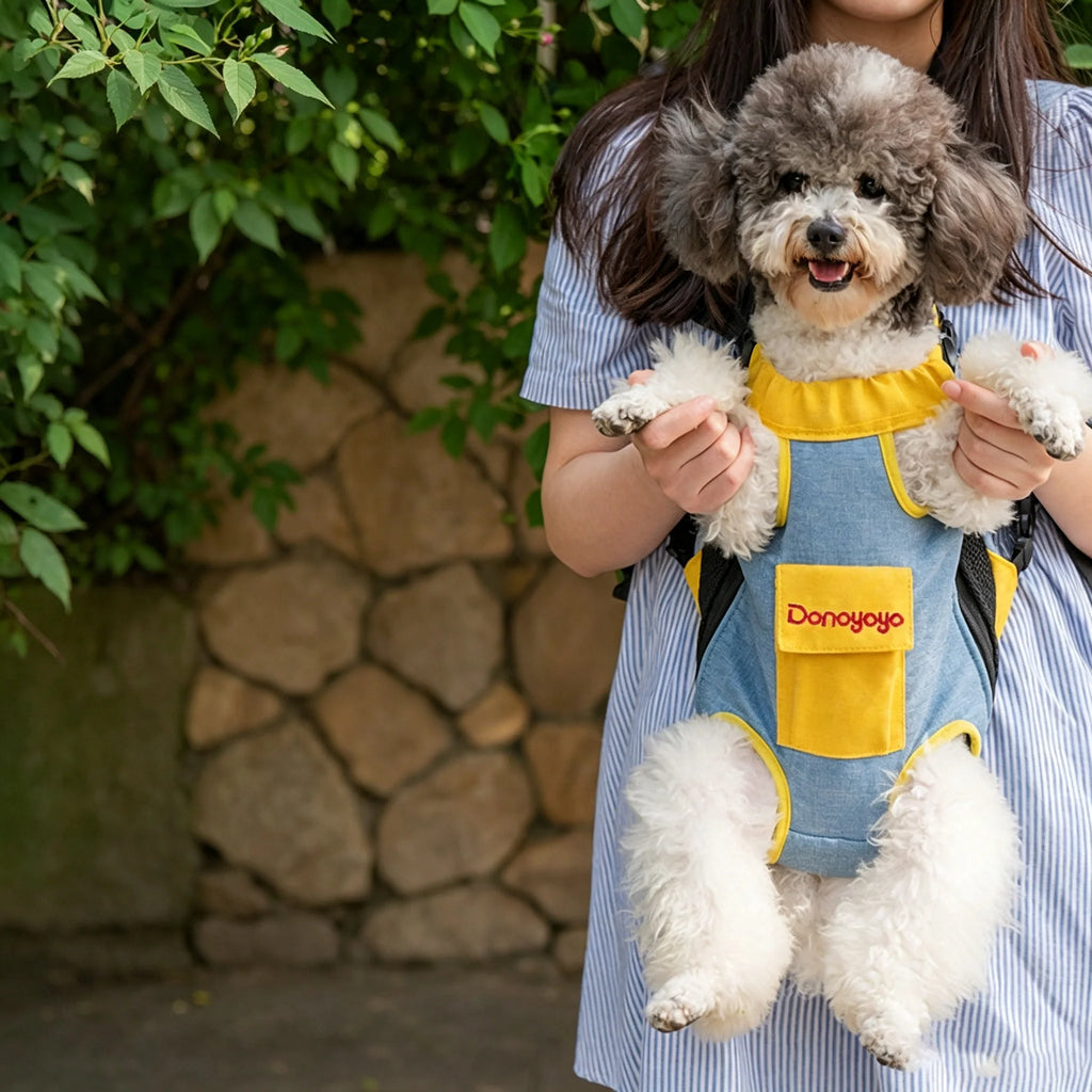 Pet Carrier Backpack for Cats & Small Dogs ¨C Breathable Mesh Hands-Free Carrier with Safety Buckle, Cute Bear Pocket, Escape-Proof Pet Backpack cwyp-001