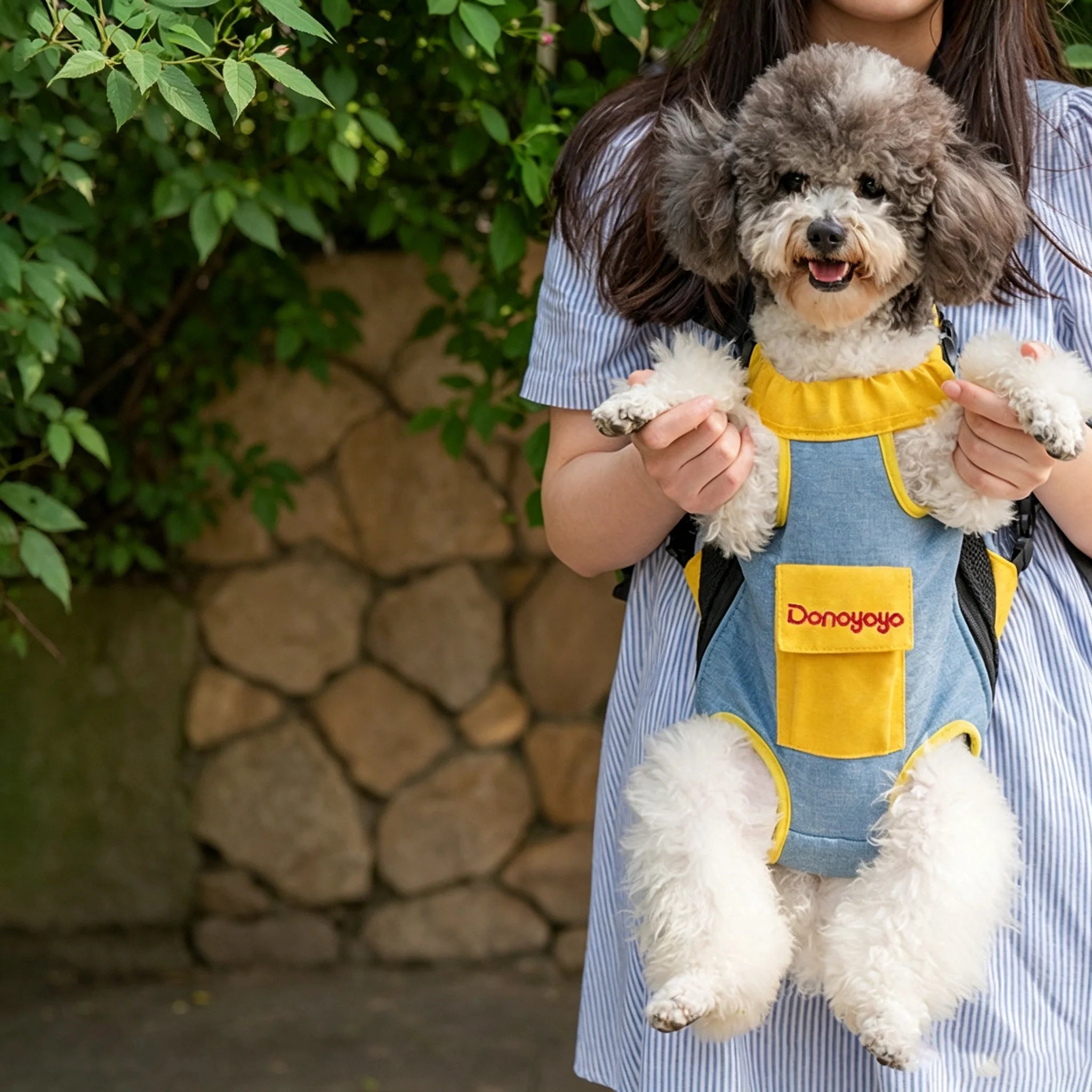 Pet Carrier Backpack for Cats & Small Dogs ¨C Breathable Mesh Hands-Free Carrier with Safety Buckle, Cute Bear Pocket, Escape-Proof Pet Backpack cwyp-001