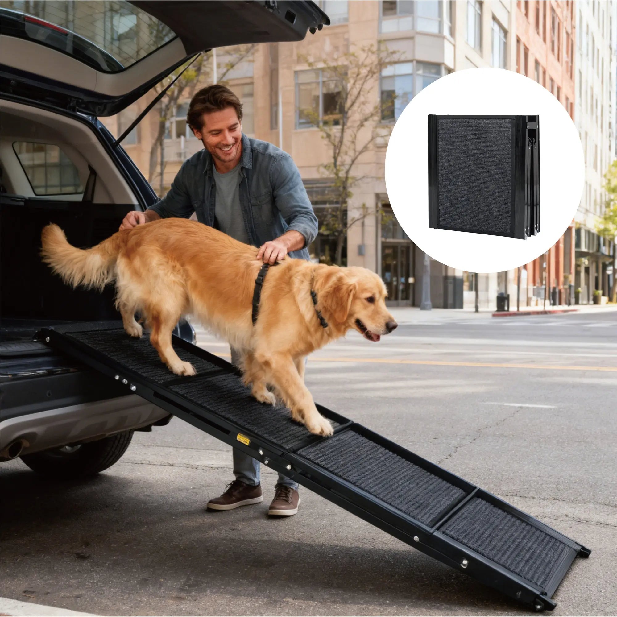 Large dog using a 71-inch foldable car ramp Main image