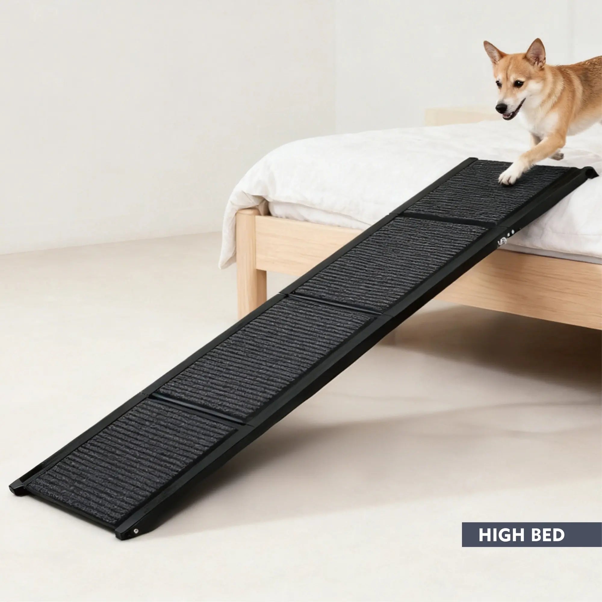 Dog using a foldable ramp to access a high bed