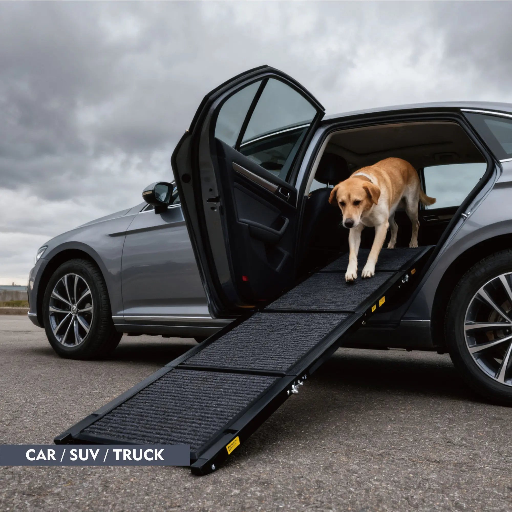 Dog using a foldable ramp to exit a car