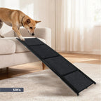 Dog using a foldable ramp to reach a sofa