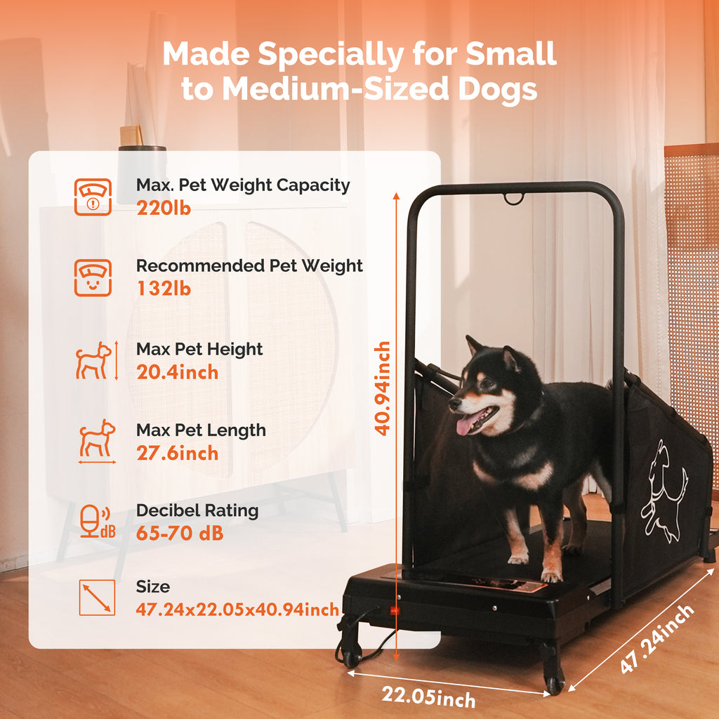 Dog Treadmill with Remote & Non-Slip Belt, Black - W206P305082 - product view 5