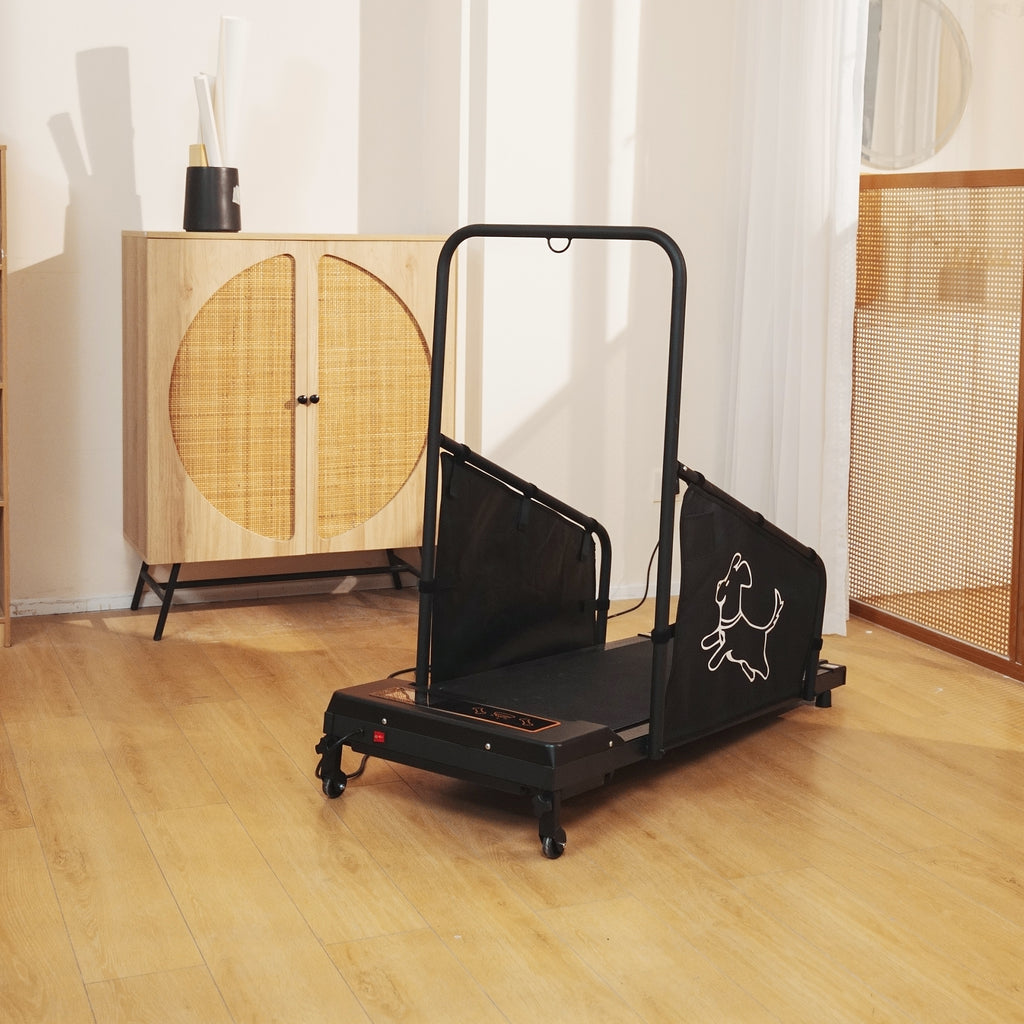 Dog Treadmill with Remote & Non-Slip Belt, Black - W206P305082 - product view 13