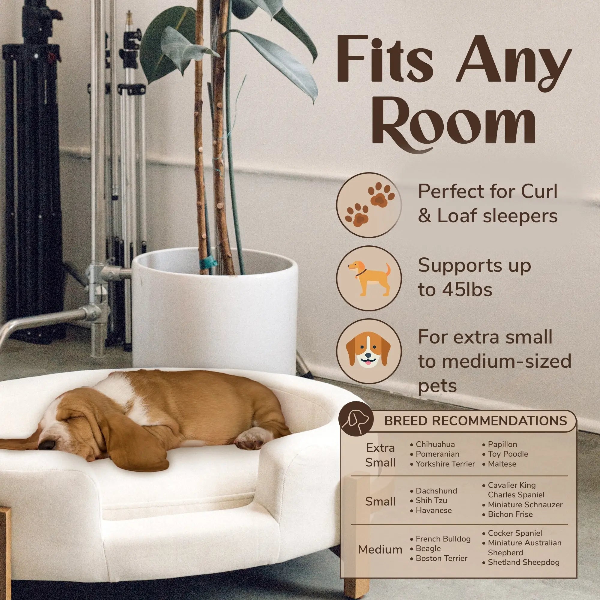 Calming Oval Dog Bed with Solid Wood Frame B011P577476 Secondary image