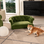 Olive Velvet Chesterfield Dog Sofa Bed product overview