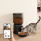4L WiFi Automatic Pet Feeder with 1080p Camera T6051P603547