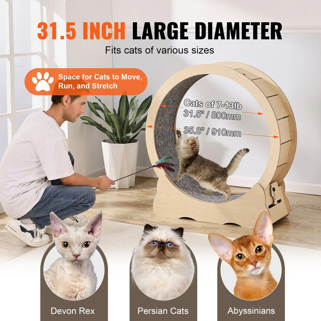 35.8-Inch Indoor Cat Exercise Wheel detail view 6