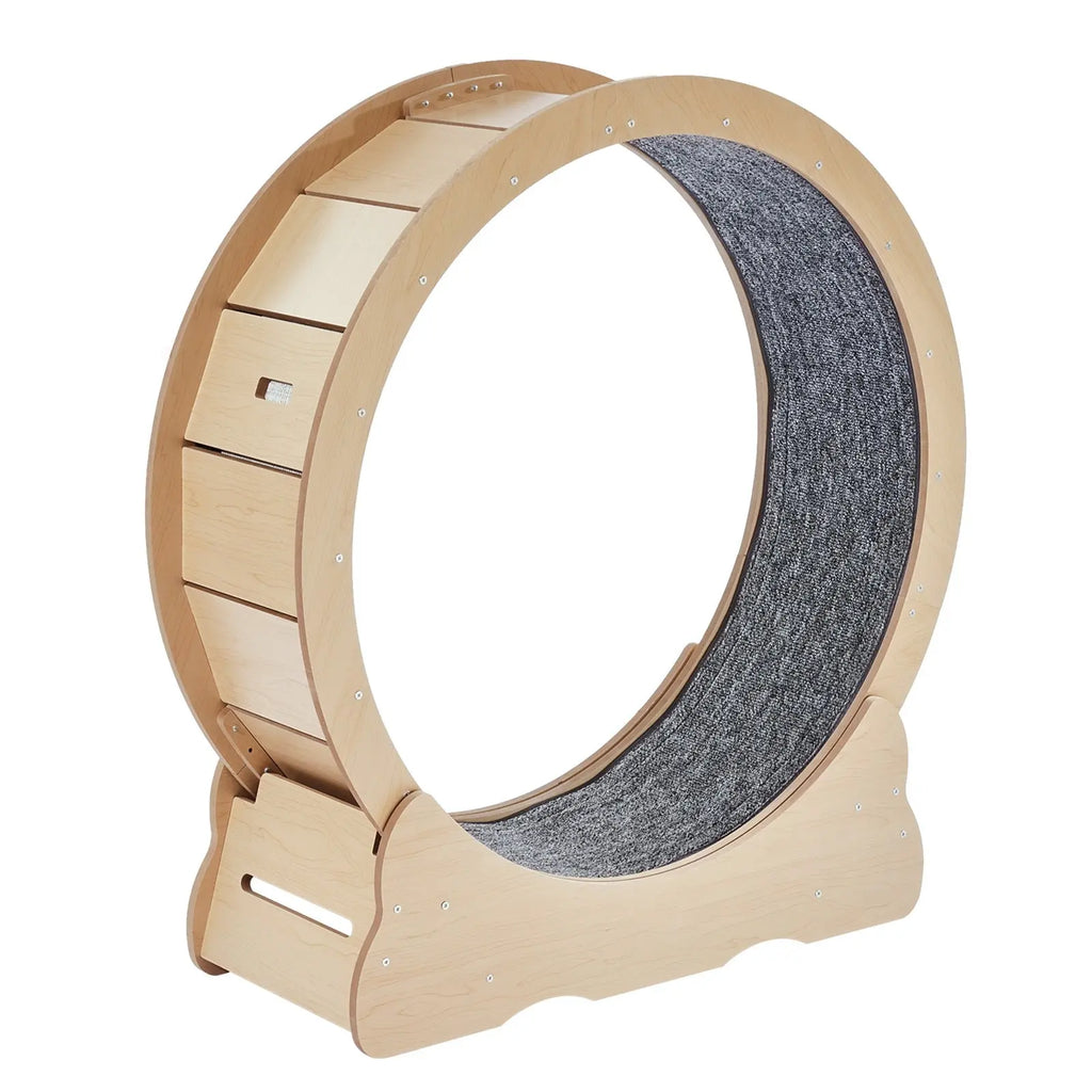 35.8-Inch Indoor Cat Exercise Wheel detail view 8