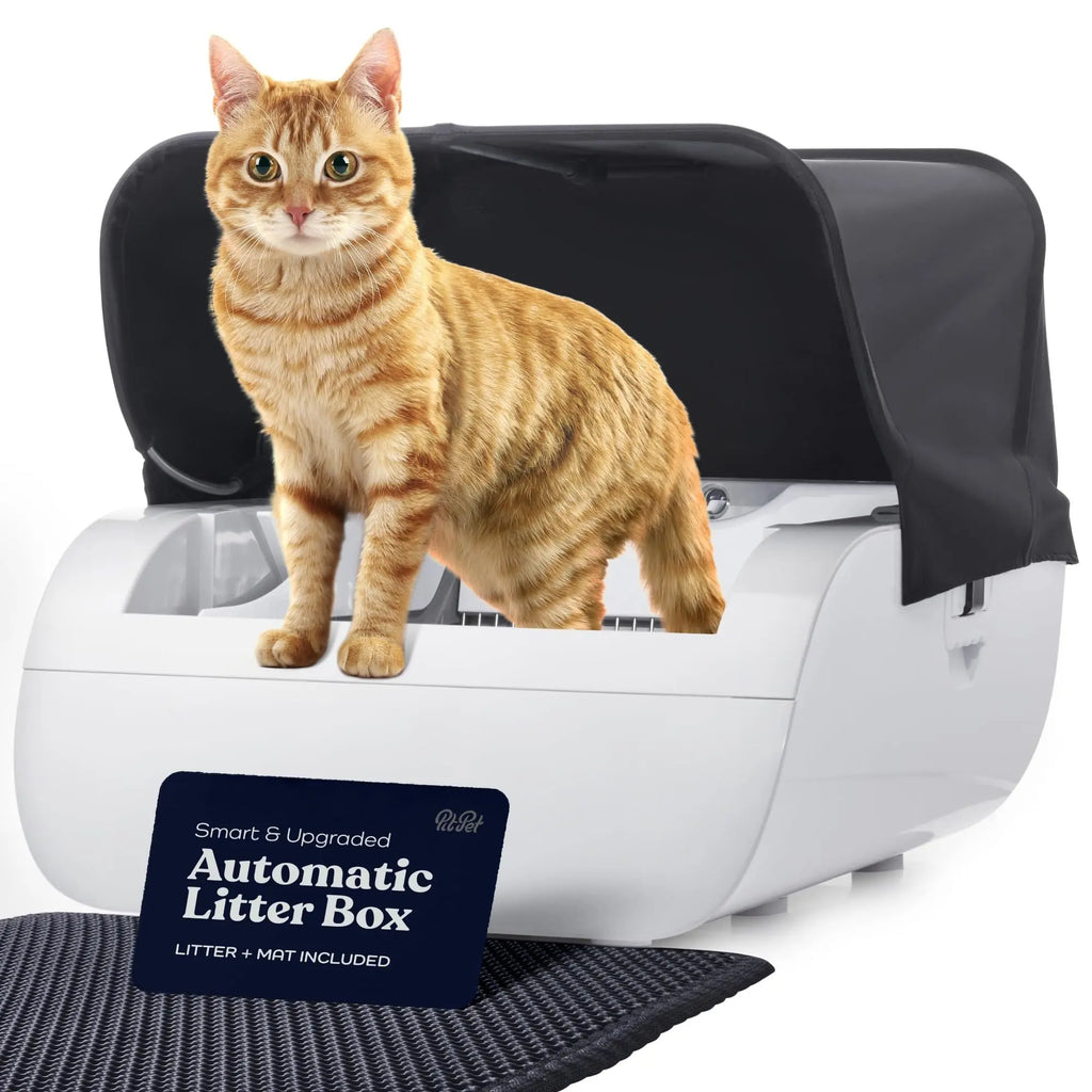 Automatic self-cleaning cat litter box with wide opening