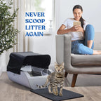 home lifestyle scene — W1264P283678