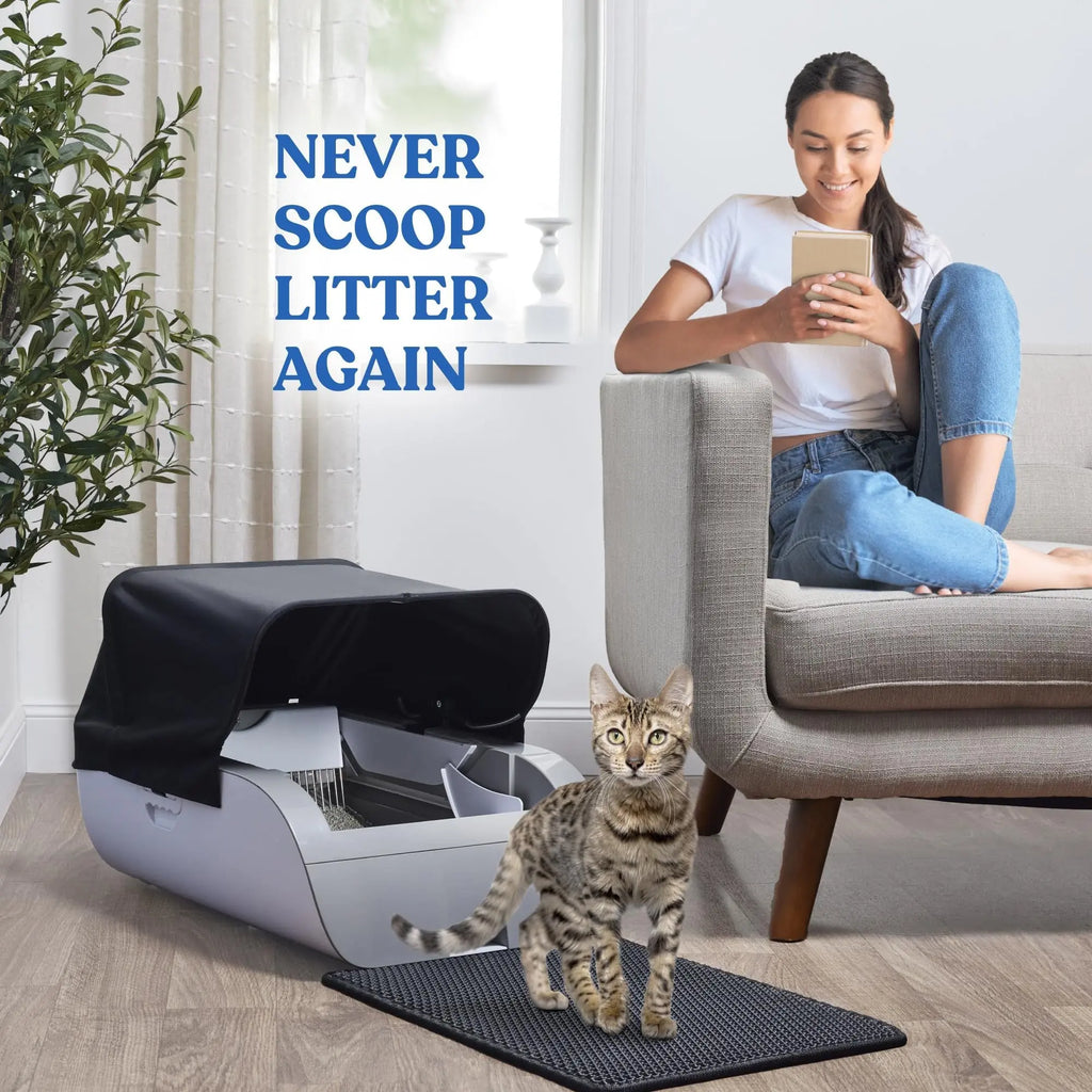 Automatic cat litter box in a modern living room