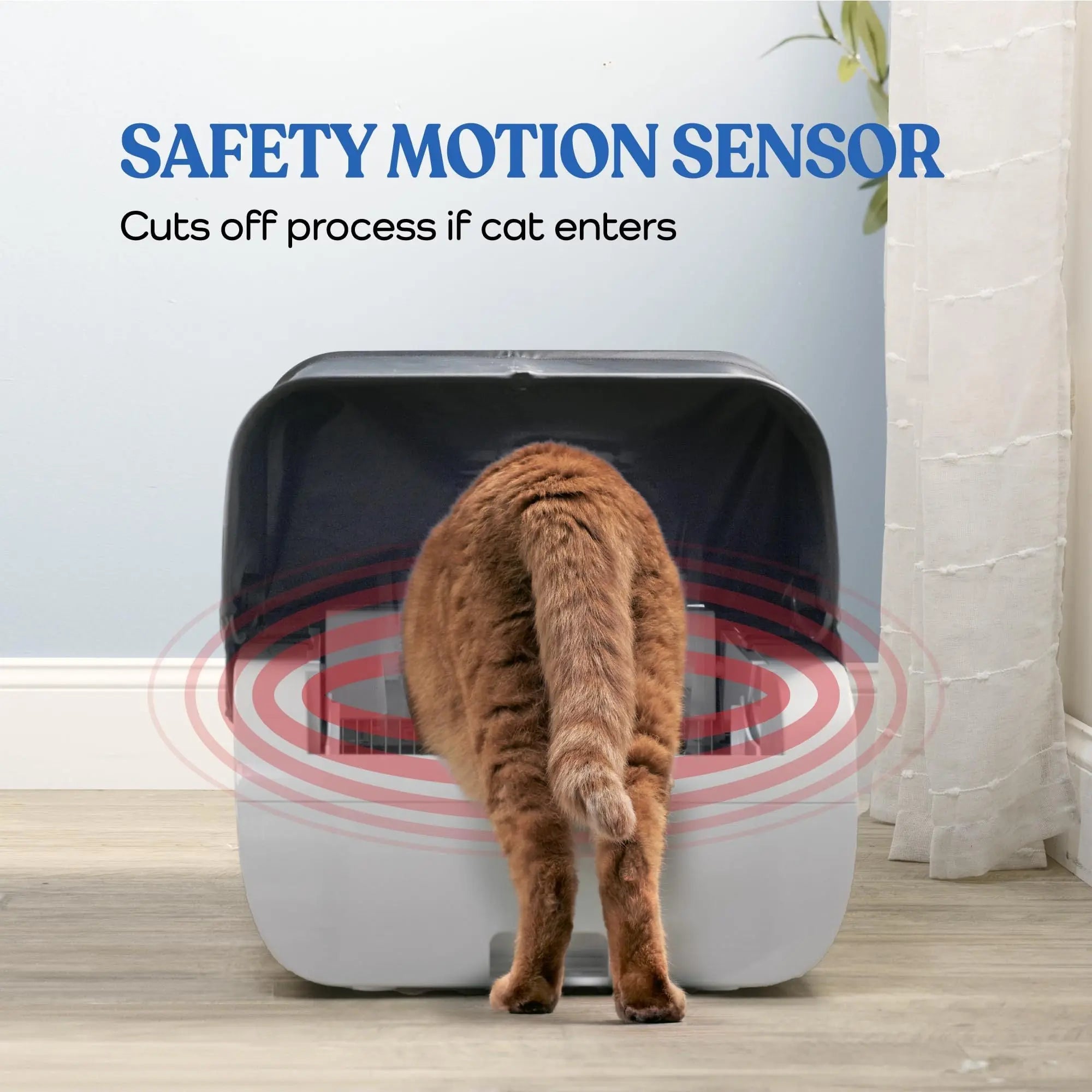 Safety motion sensor at the cat litter box entrance