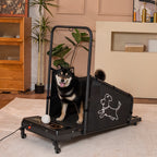 Dog Treadmill with Remote & Non-Slip Belt, Black - W206P305082 - product view 4