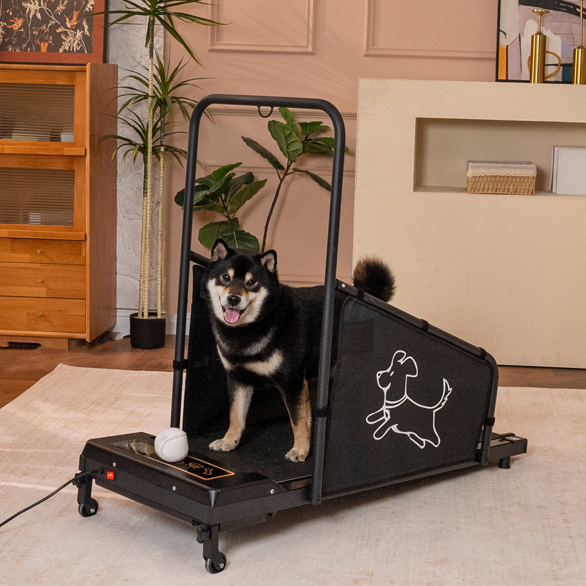 Dog Treadmill with Remote & Non-Slip Belt, Black - W206P305082 - product view 4