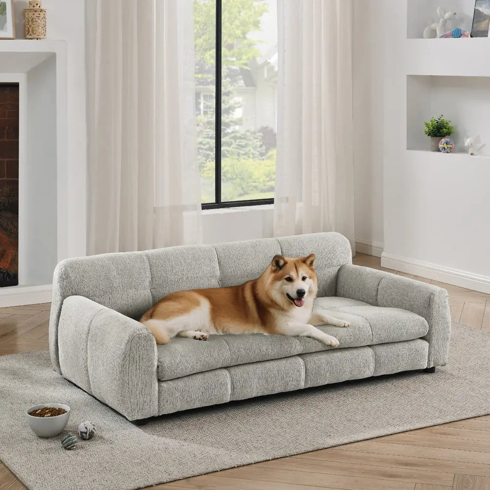 Beige elevated dog sofa bed for large dogs in a bright living room