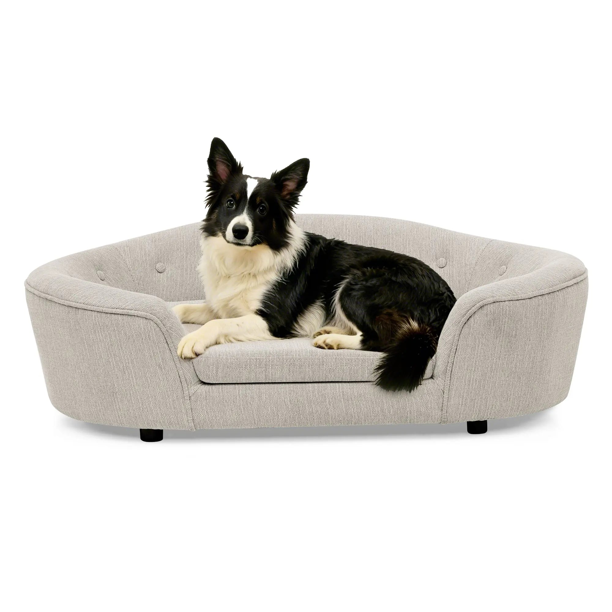 Beige oval dog sofa bed with a black and white dog