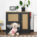 Black feeding station with a small dog and two removable bowls