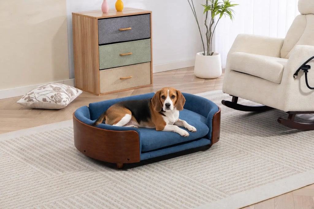 Beagle resting on a blue velvet wooden dog sofa