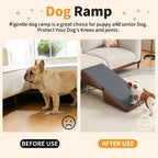 Pet ramp before-and-after couch access comparison