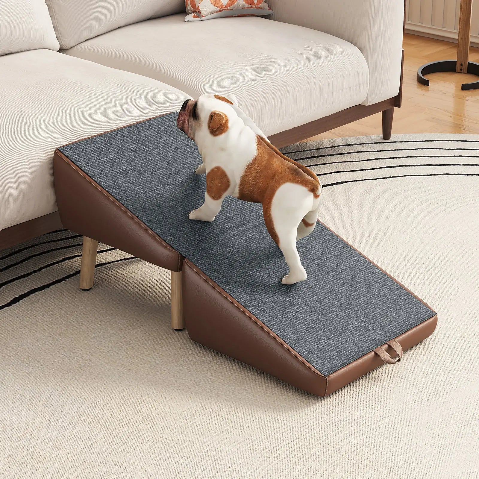 Small dog climbing the foldable pet ramp