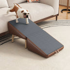 Dog walking along the high-traction ramp surface