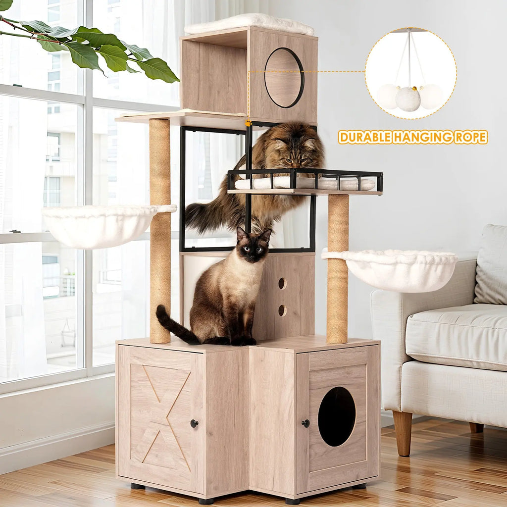 Cats using a cat tree with litter box enclosure