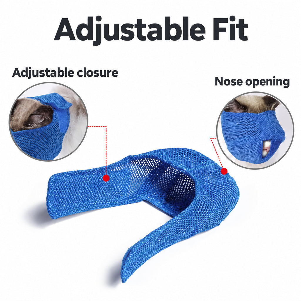 Adjustable closure and nose opening on a blue mesh cat muzzle