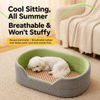 Small dog resting in the bolster pet bed beside a sofa