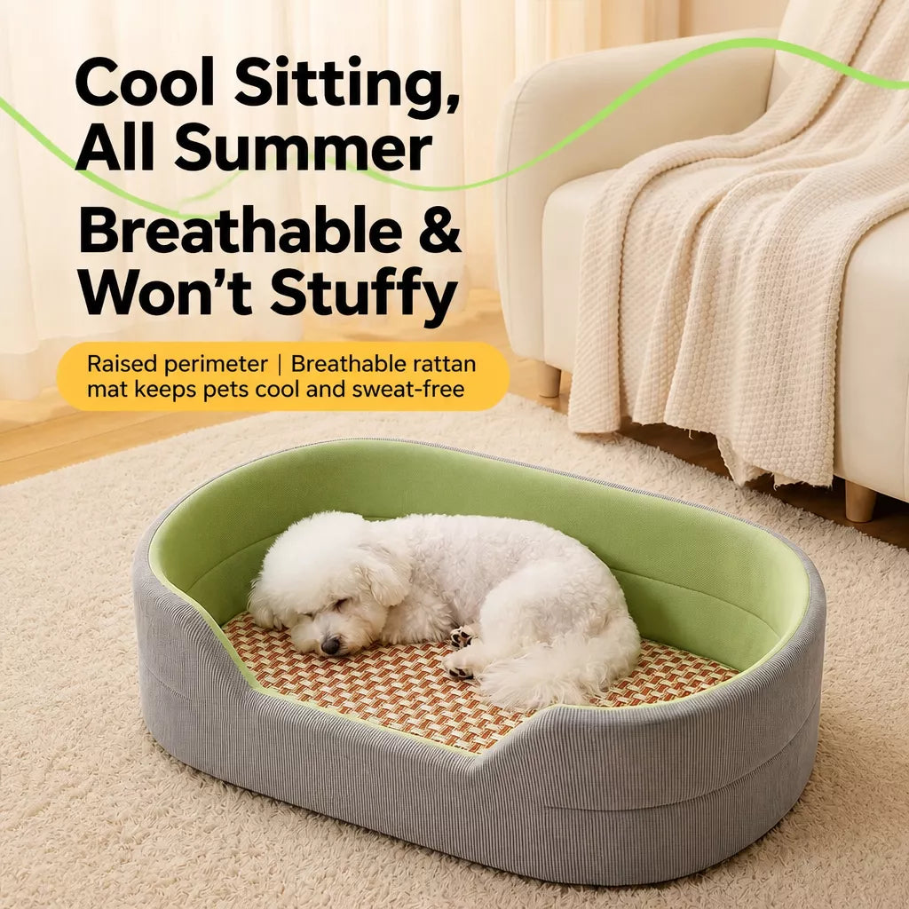 Small dog resting in the bolster pet bed beside a sofa