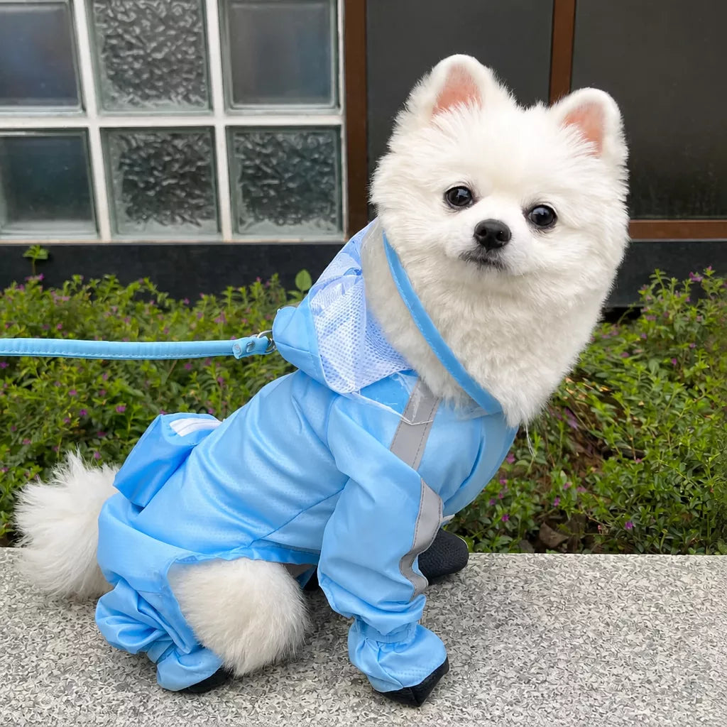 Four-Leg Dog Rain Suit with Clear Hood and Leash Access - product detail