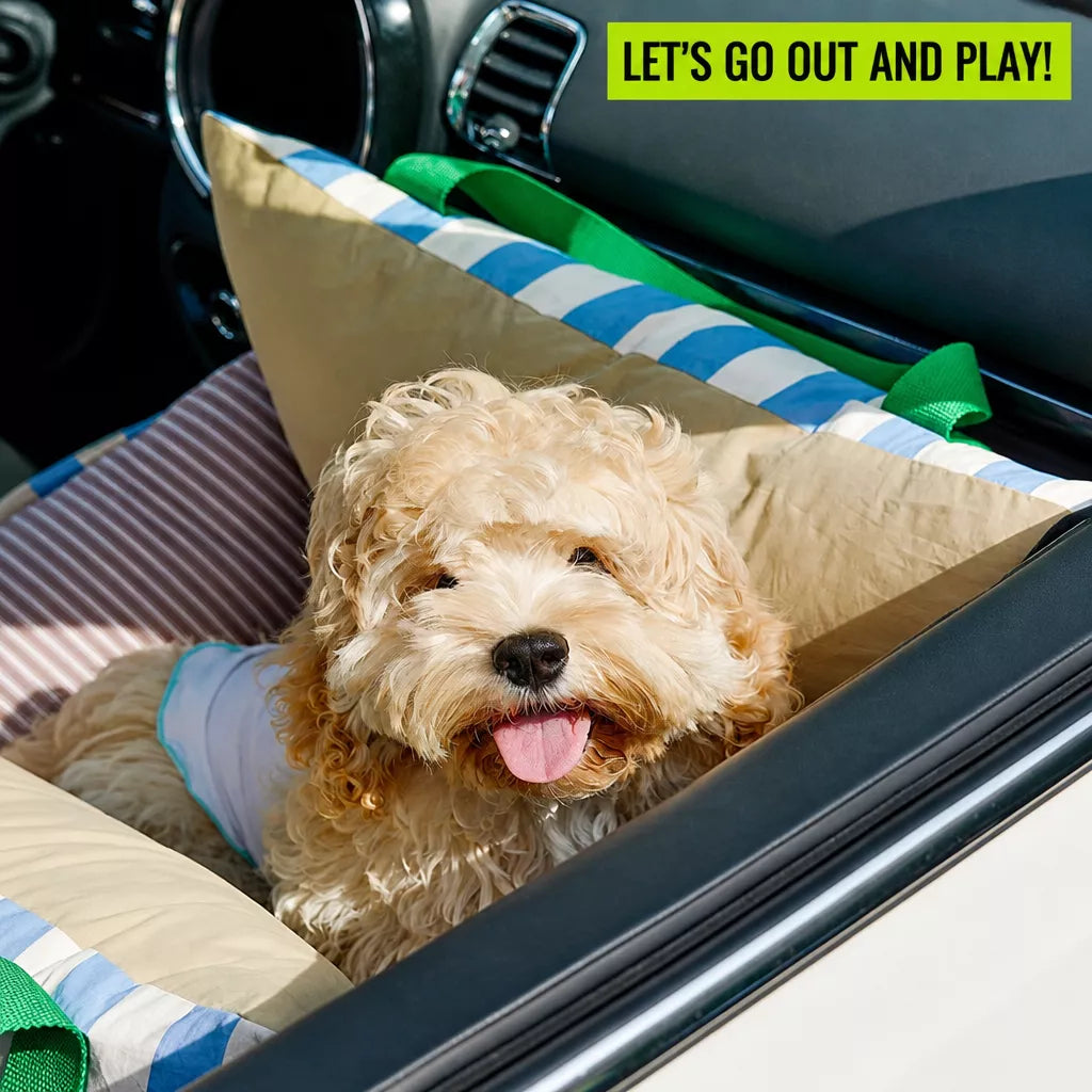 Dog in striped bed during car trip