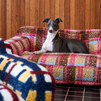 Dog sitting against padded pet sofa back