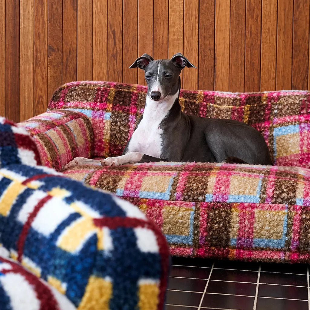 Dog sitting against padded pet sofa back