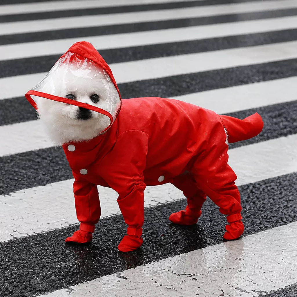 Four-Leg Dog Rain Suit with Clear Hood and Leash Access - product detail