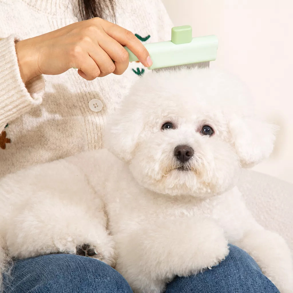 Self-Cleaning Pet Grooming Comb for Cats and Dogs