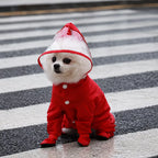 Four-Leg Dog Rain Suit with Clear Hood and Leash Access - product detail