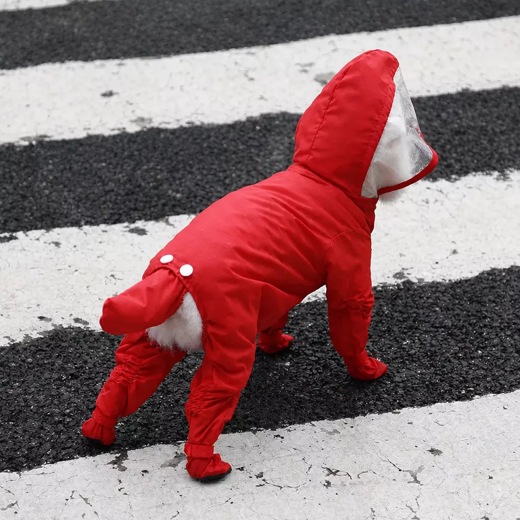 Four-Leg Dog Rain Suit with Clear Hood and Leash Access - product detail